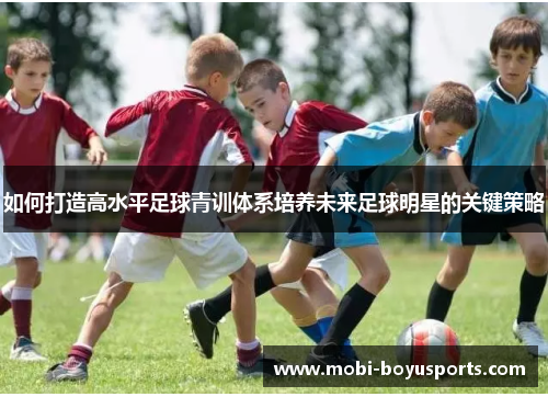 如何打造高水平足球青训体系培养未来足球明星的关键策略