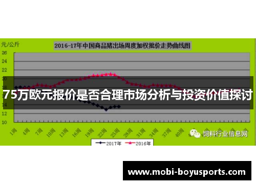 75万欧元报价是否合理市场分析与投资价值探讨