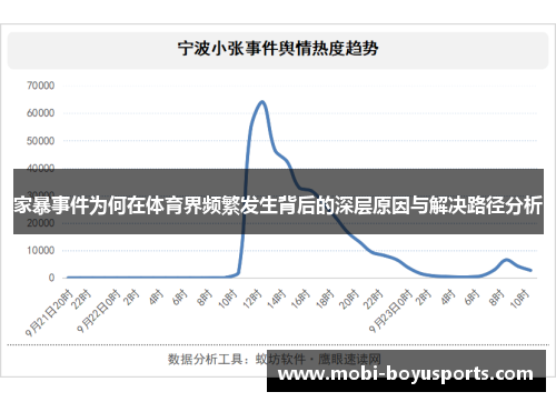 家暴事件为何在体育界频繁发生背后的深层原因与解决路径分析