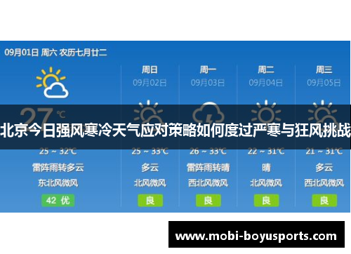 北京今日强风寒冷天气应对策略如何度过严寒与狂风挑战